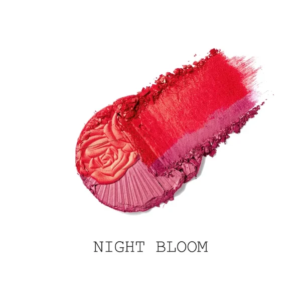 Skin Fetish: Divine Blush Duo - Image 31